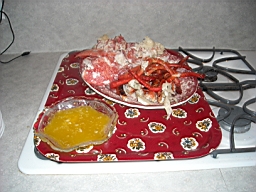 DSCN0539.JPG